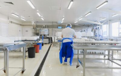 Diatomaceous Earth vs. Other Filter Aids: Which One Is Right for You?